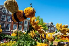 Bloemencorso-Haarlem-2022_5856