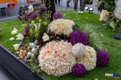 20230423_Haarlem_Bloemencorso_1875