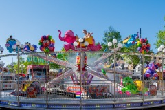 WEB_20250511_Kermis-Purmerend_8353